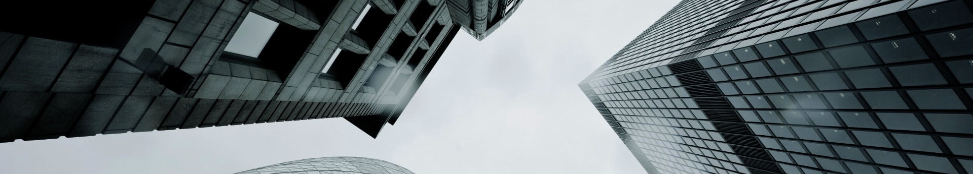 Duediligence bg